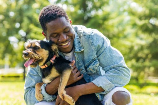 Köpekler sizi kokladıklarında ne hissederler davranışlarının ardındaki açıklama